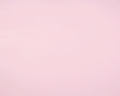 Rose Sugar Scrub Rose Sugar Scrub